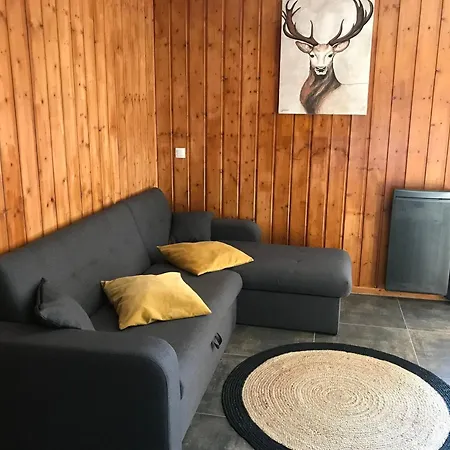 Chalet 3 Pieces 7 Pers, Parking, Animaux Admis - Fr-1-504-62